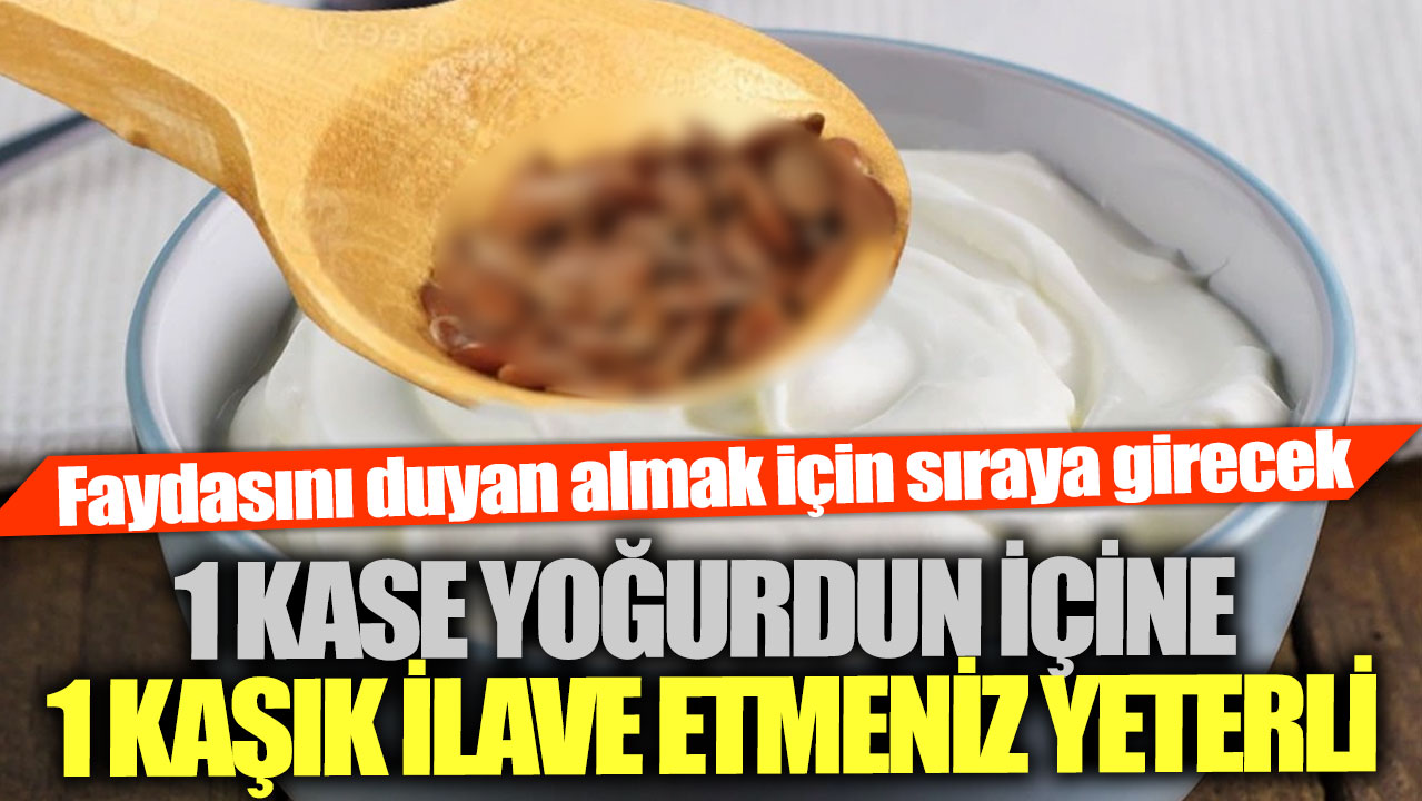 Faydasını duyan almak için sıraya girecek !1 kase yoğurdun içine 1 kaşık ilave etmeniz yeterli