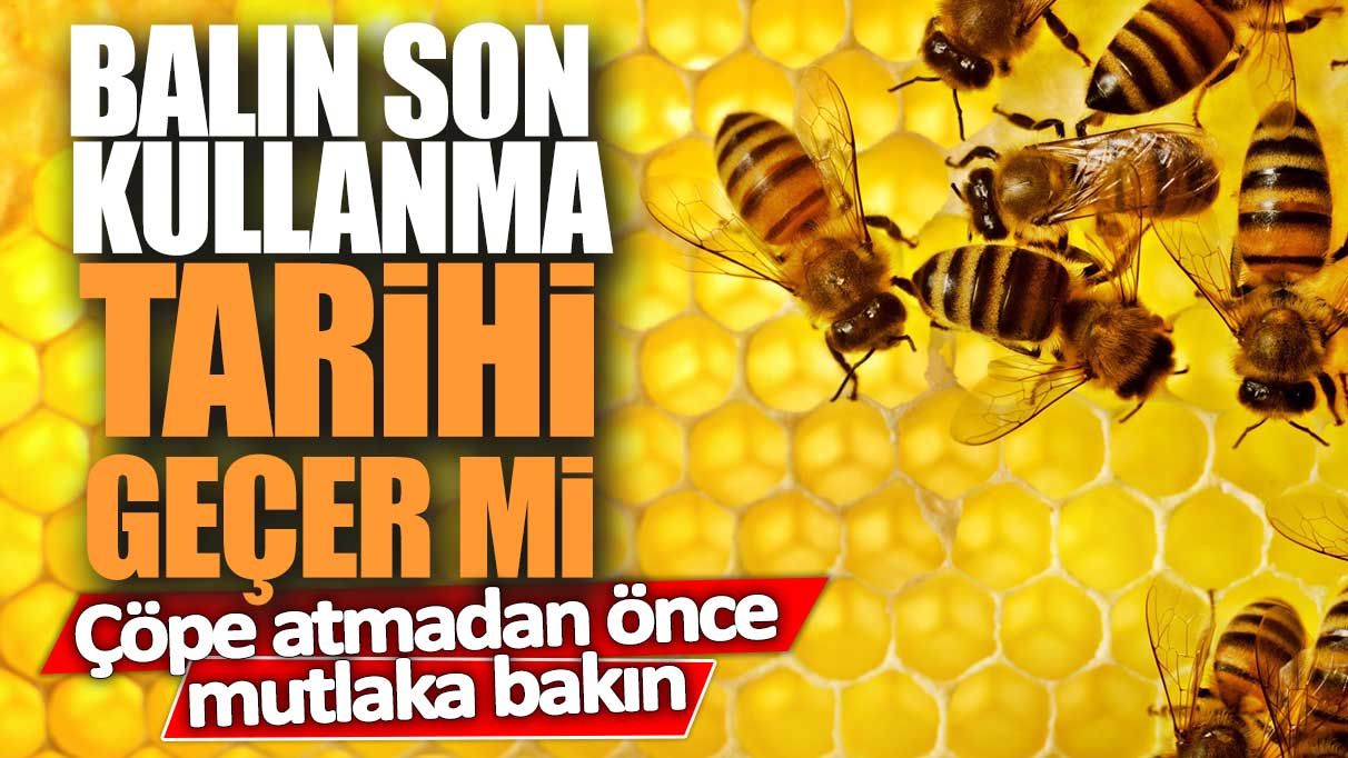 Balın son kullanma tarihi geçer mi! Çöpe atmadan önce mutlaka bakın