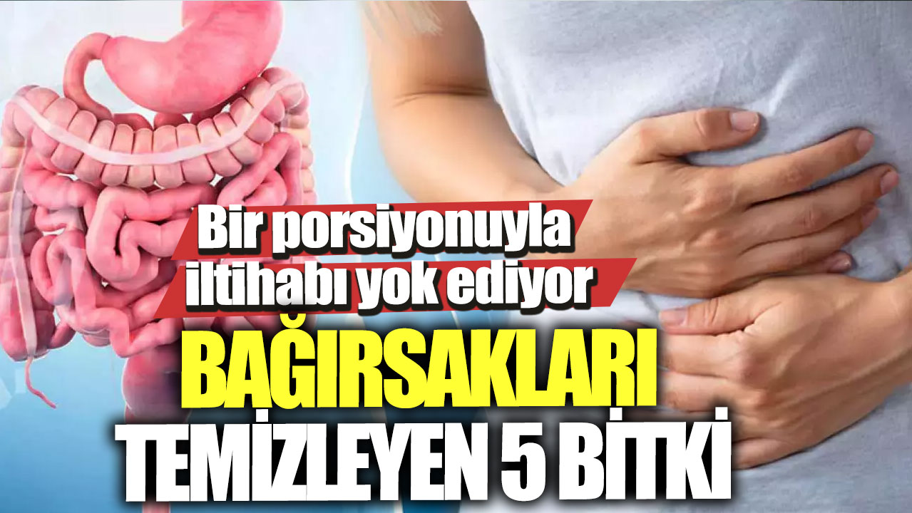 Bağırsakları temizleyen 5 bitki! Bir porsiyonuyla iltihabı yok ediyor