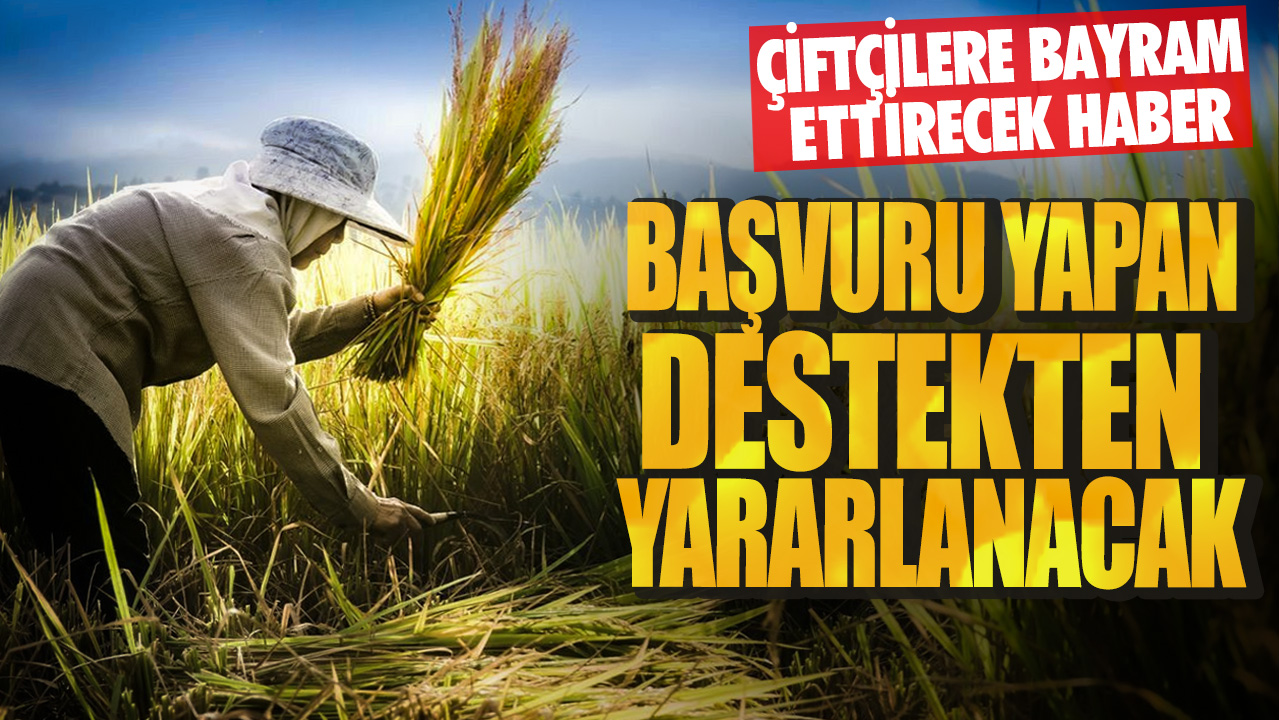 Çiftçilere bayram ettirecek haber! Başvuru yapan destekten yararlanacak