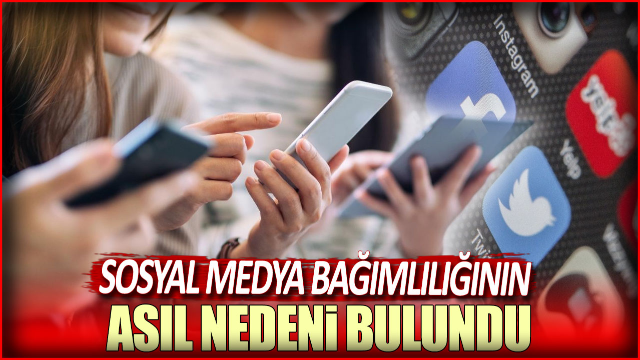 Sosyal medya bağımlılığının asıl nedeni ortaya çıktı