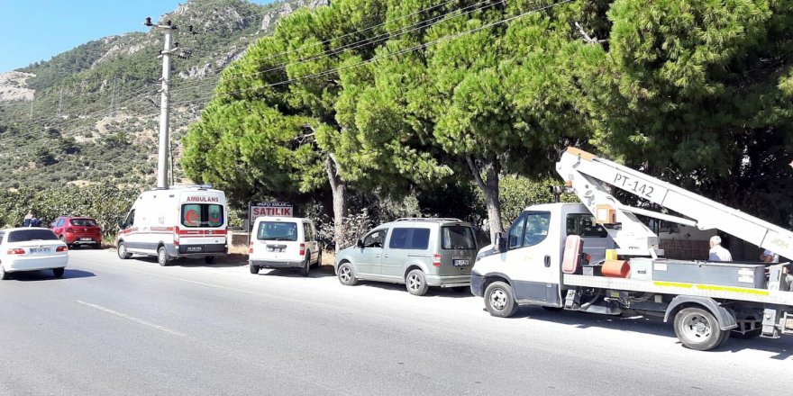 Kozalak toplamak isterken elektrik akımına kapıldı