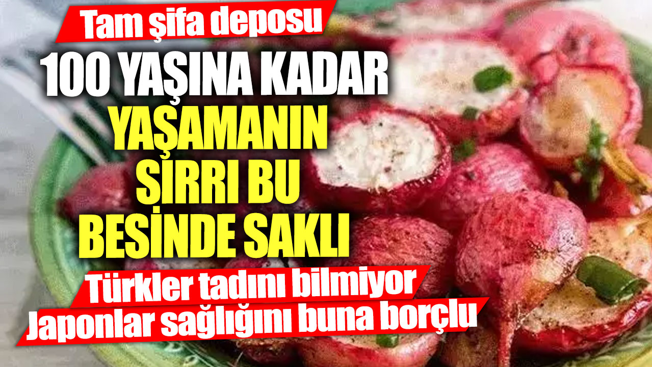 100 yaşına kadar yaşamanın sırrı bu besinde saklı! Tam şifa deposu Türkler tadını bilmiyor Japonlar sağlığını buna borçlu