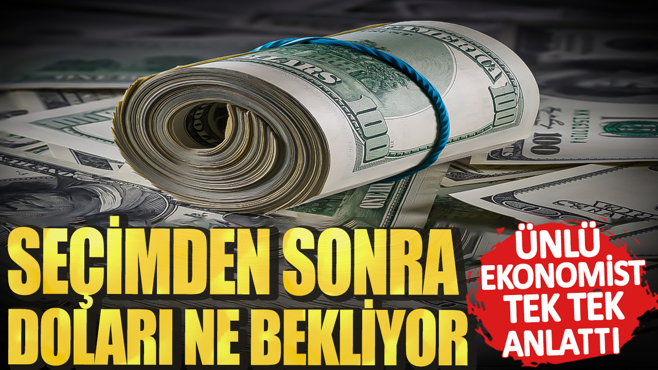 Seçimden sonra doları ne bekliyor? Ünlü ekonomist tek tek anlattı