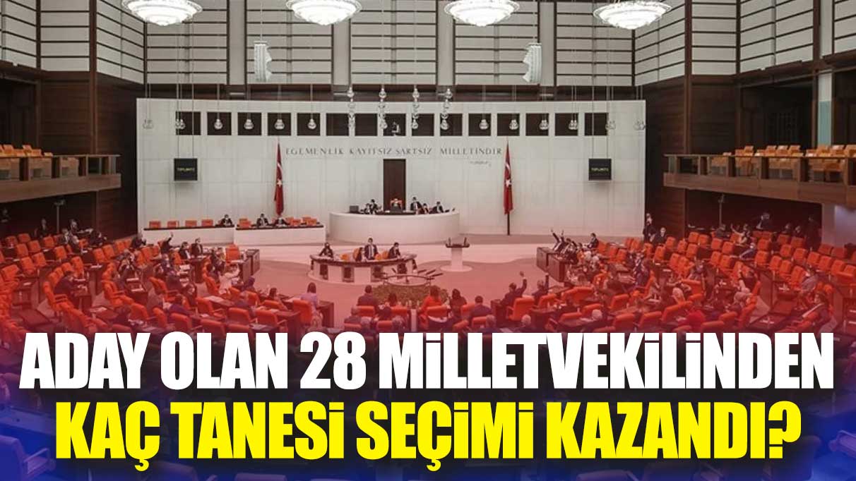 Aday olan 28 milletvekilinden kaç tanesi seçimi kazandı?