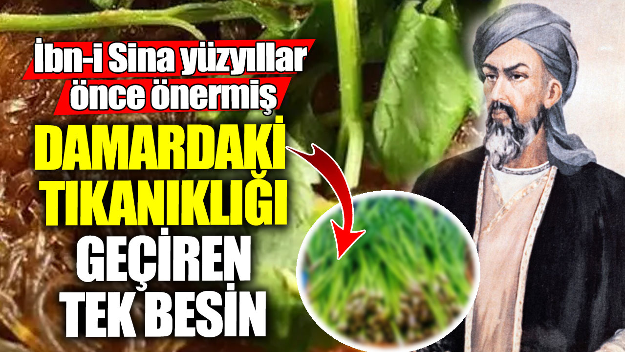 İbn-i Sina yüzyıllar önce önermiş! Damardaki tıkanıklığı geçiren tek besin