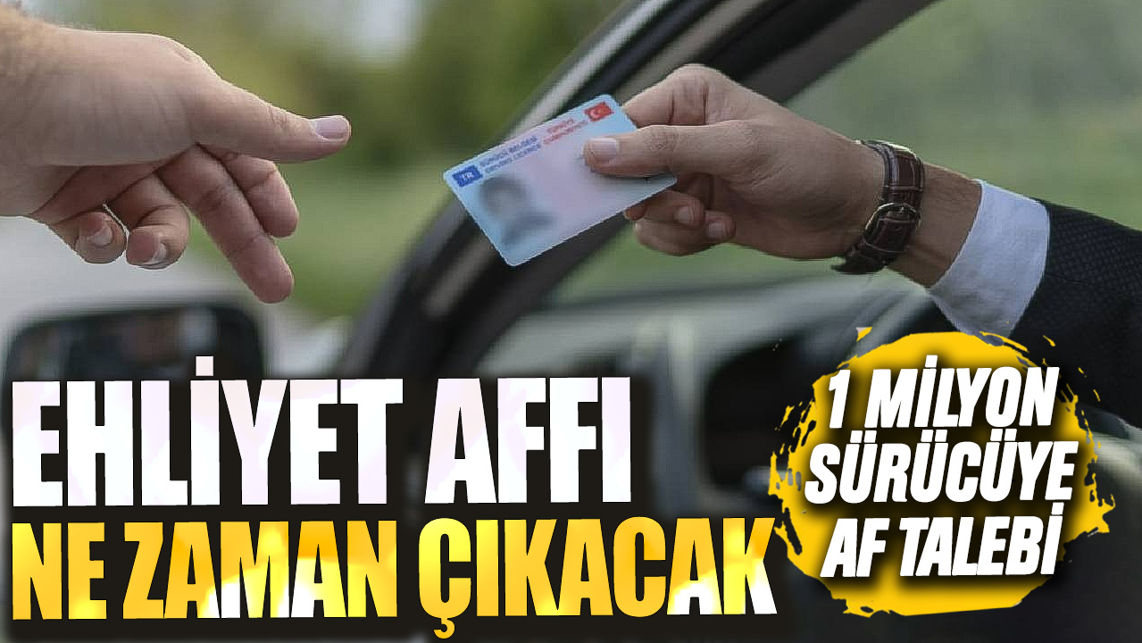 1 milyon sürücüye af talebi! Ehliyet affı ne zaman çıkacak