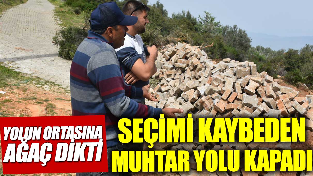 Seçim kaybeden muhtar yolu kapattı! Yolun ortasına ağaç dikti