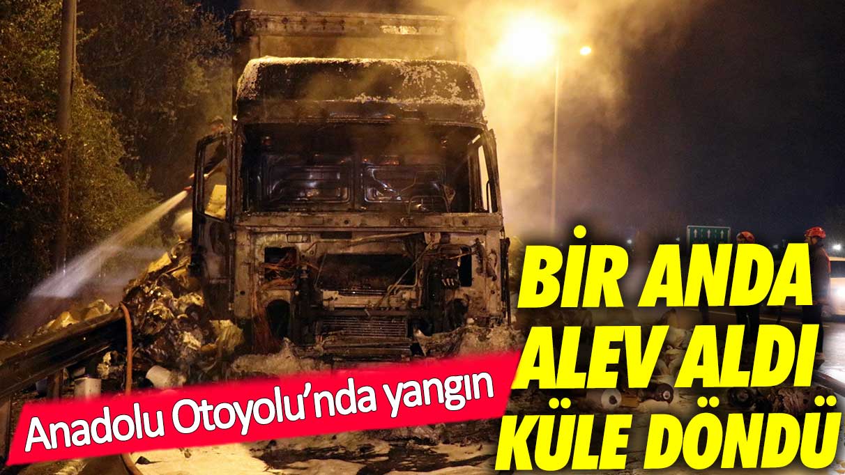 Elyaf yüklü TIR  bir anda alev aldı! Küle döndü