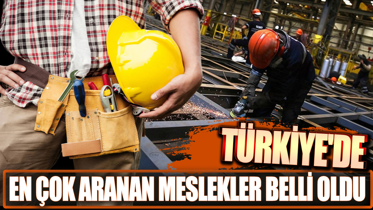 Türkiye'de en çok aranan meslekler belli oldu