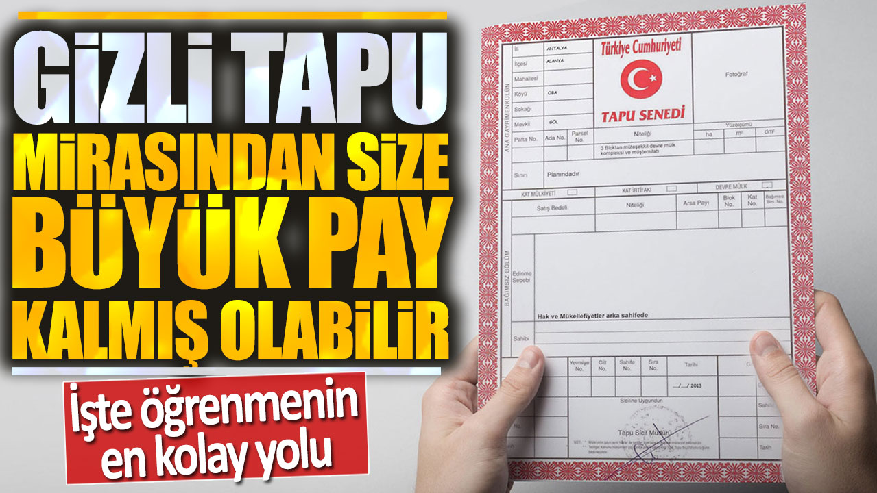 Gizli tapu mirasından size büyük pay kalmış olabilir: İşte öğrenmenin en kolay yolu!