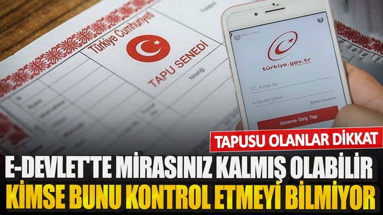 Tapusu olanlar dikkat! e-Devlet'te mirasınız kalmış olabilir! Kimse bunu kontrol etmeyi bilmiyor