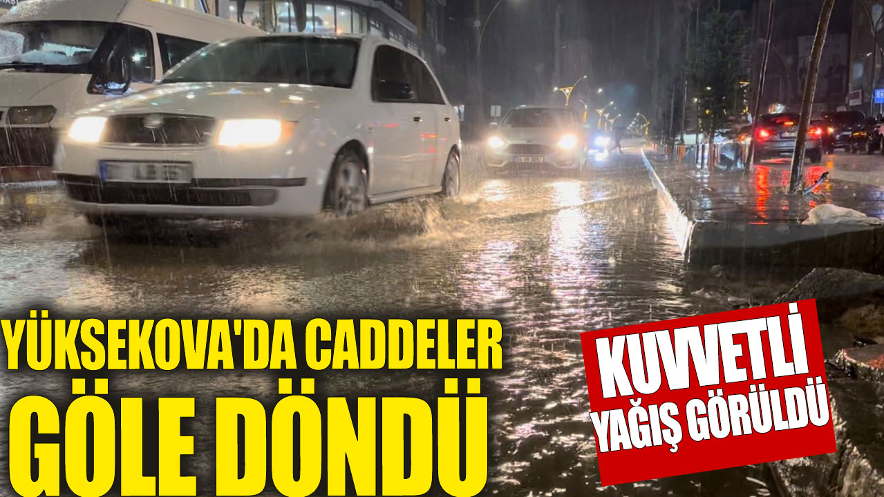 Yüksekova'da caddeler göle döndü!