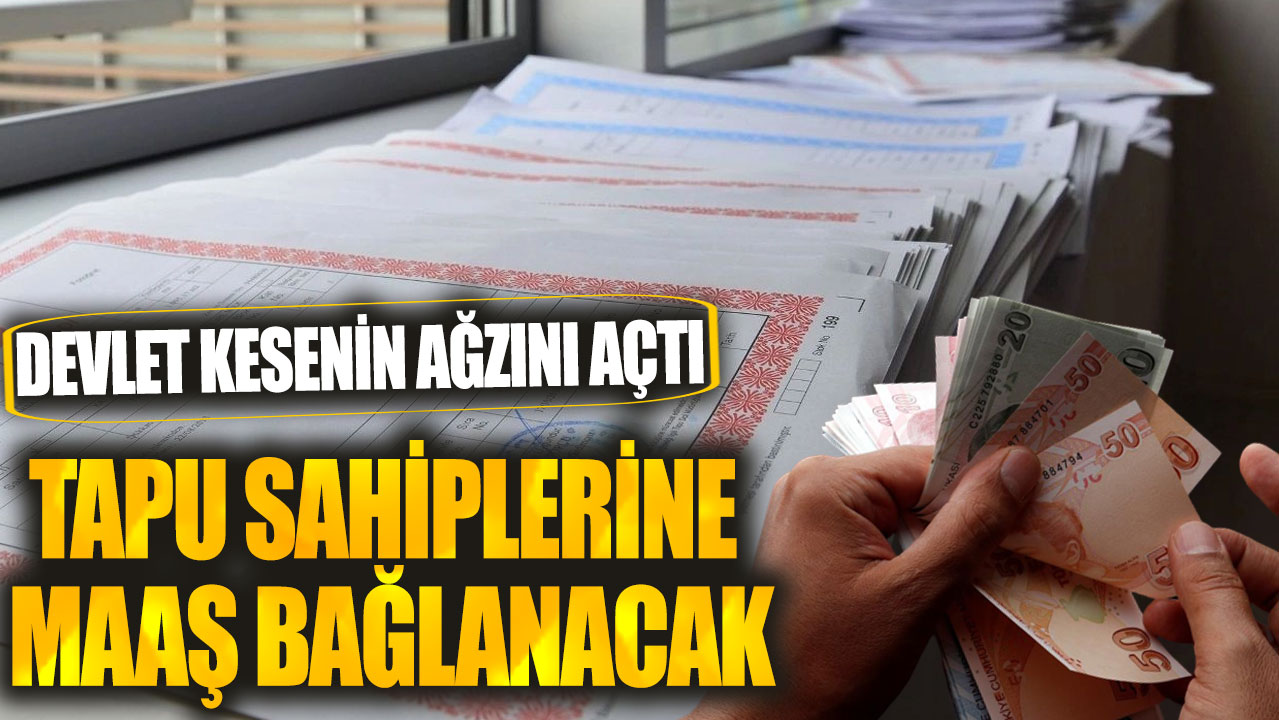 Tapu sahiplerine maaş bağlanacak! Devlet kesenin ağzını açtı