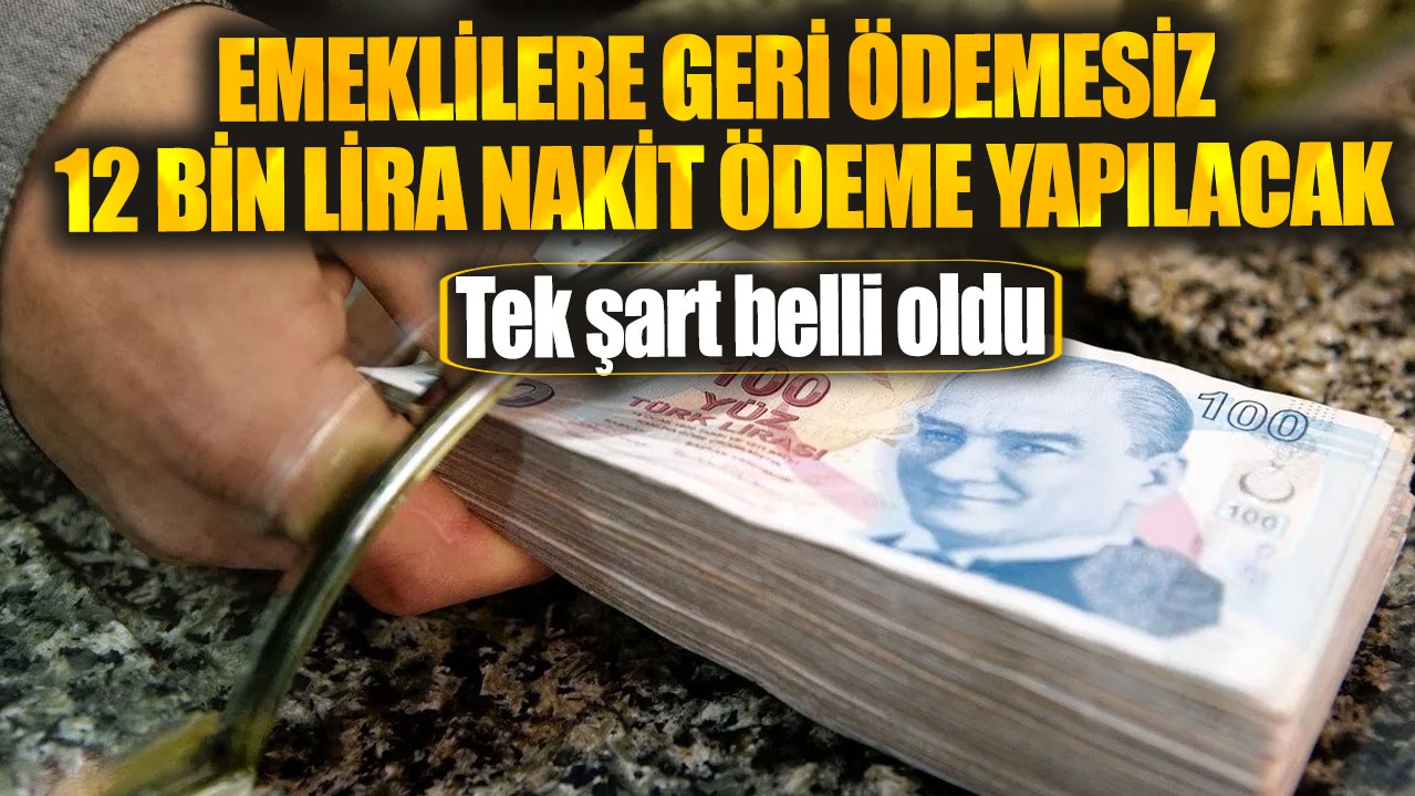 Emeklilere geri ödemesiz 12 bin lira nakit ödeme yapılacak: Tek şart belli oldu