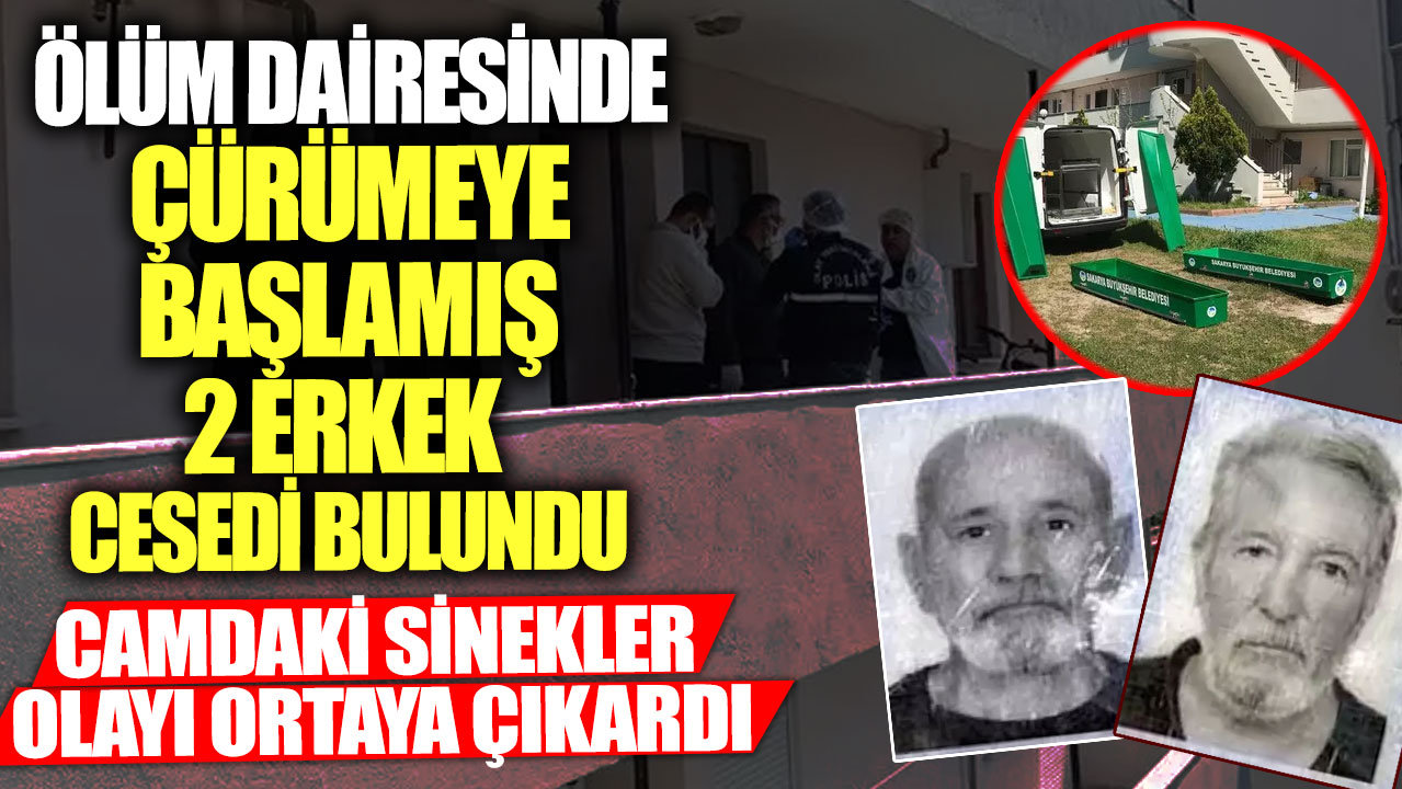 Ölüm dairesinde çürümeye başlamış 2 erkek cesedi bulundu! Camdaki sinekler olayı ortaya çıkardı