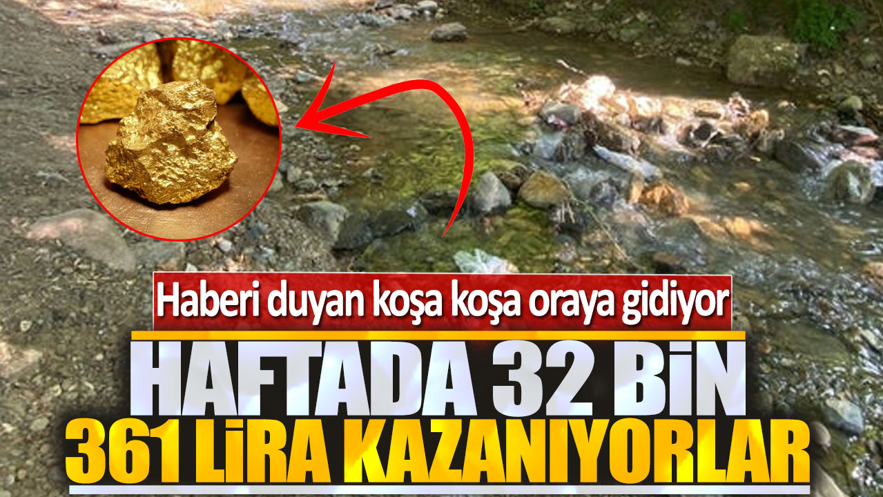 Haftada 32 bin 361 lira kazanıyorlar! Haberi duyan koşa koşa oraya gidiyor