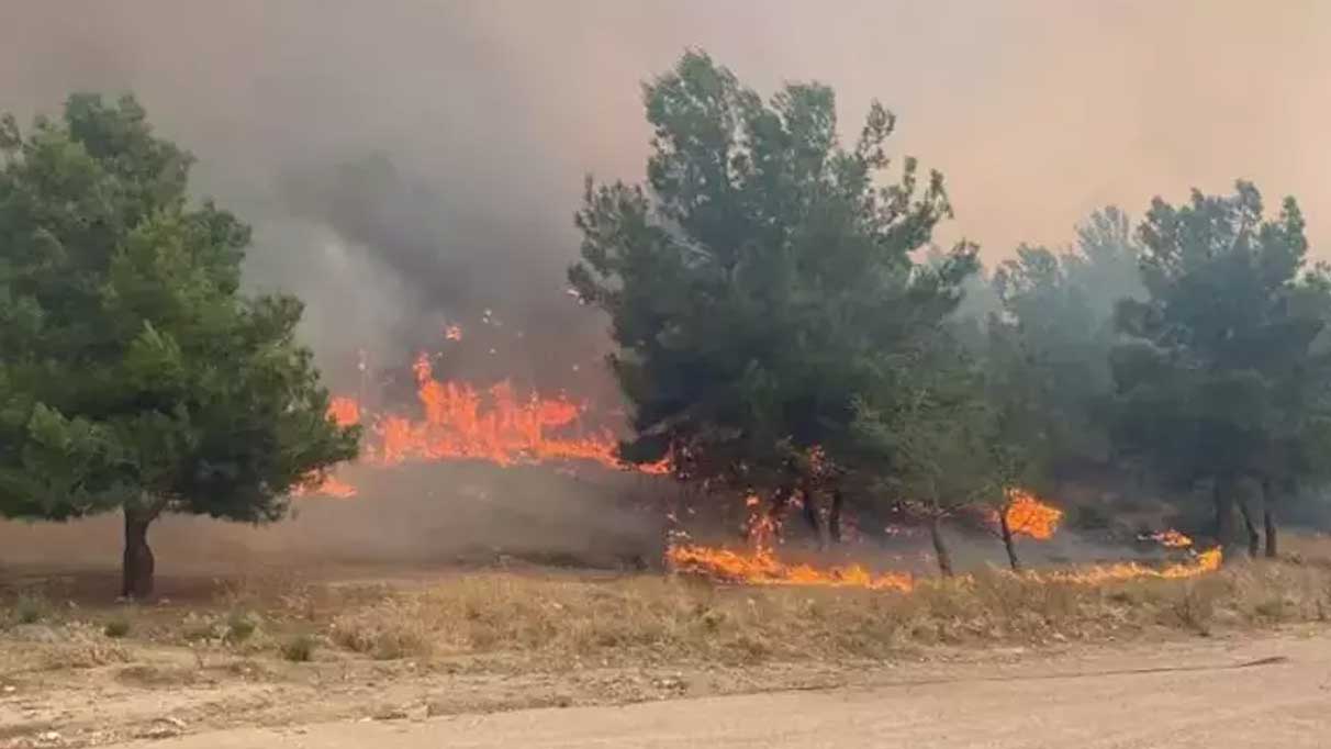 Çanakkale Valiliği uyardı! Orman yangınlarına dikkat
