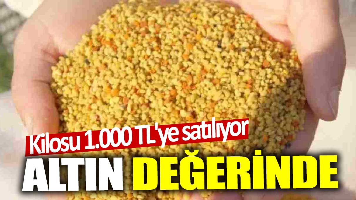 Altın değerinde! Kilosu 1.000 TL'ye satılıyor!