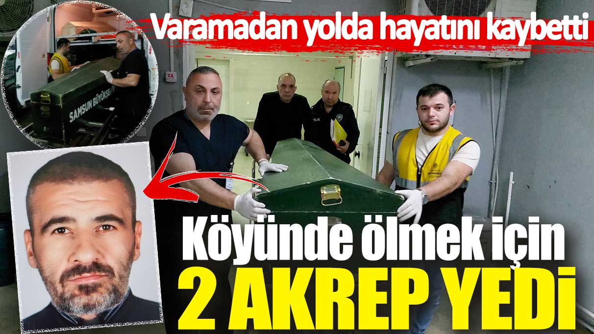 Köyünde ölmek için 2 akrep yedi: Varamadan yolda hayatını kaybetti