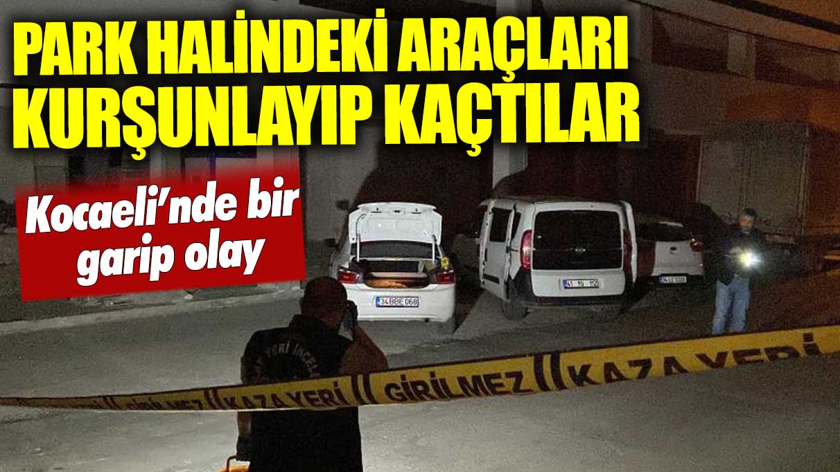 Park halindeki araçları kurşunlayıp kaçtılar