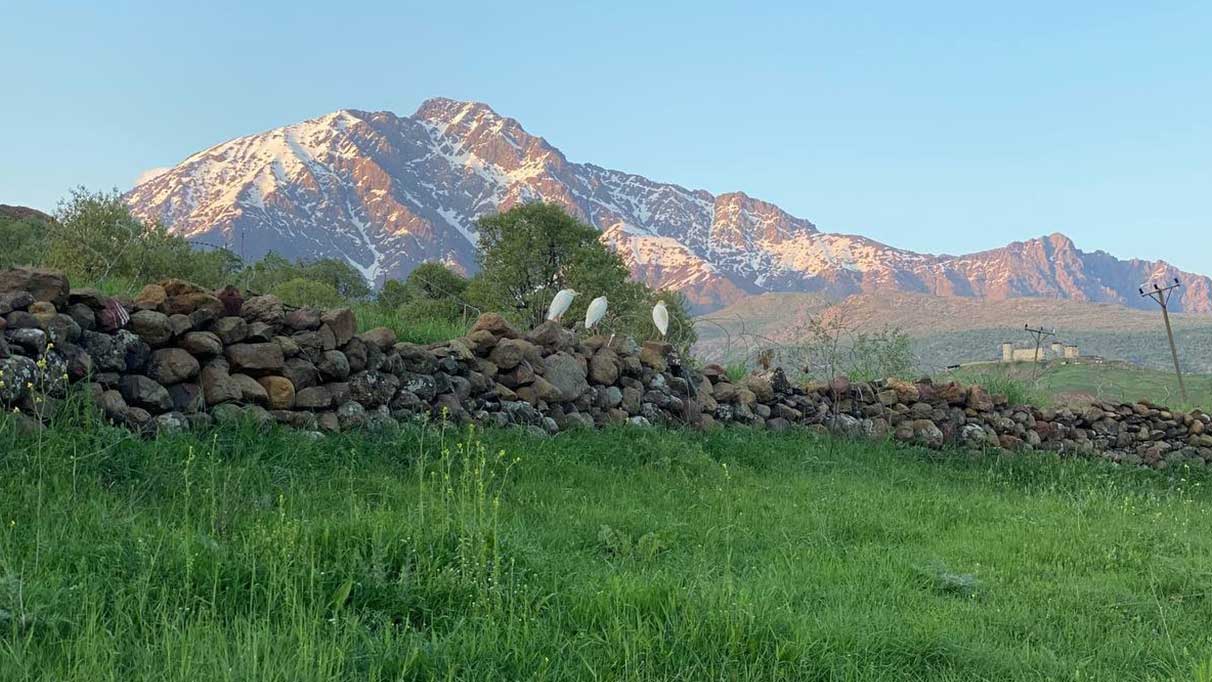 Hakkari'de bİr ilk! Görenler hayran kaldı
