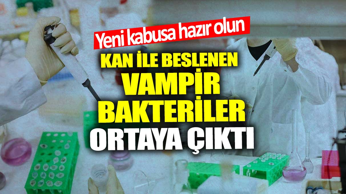 Yeni kabusa hazır olun! Kan ile beslenen vampir bakteriler ortaya çıktı