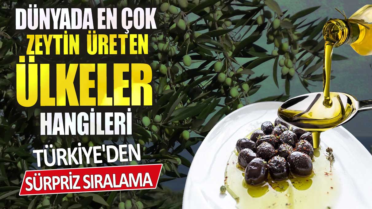 Dünyada en çok zeytin üreten ülkeler hangileri? Türkiye'den sürpriz sıralama