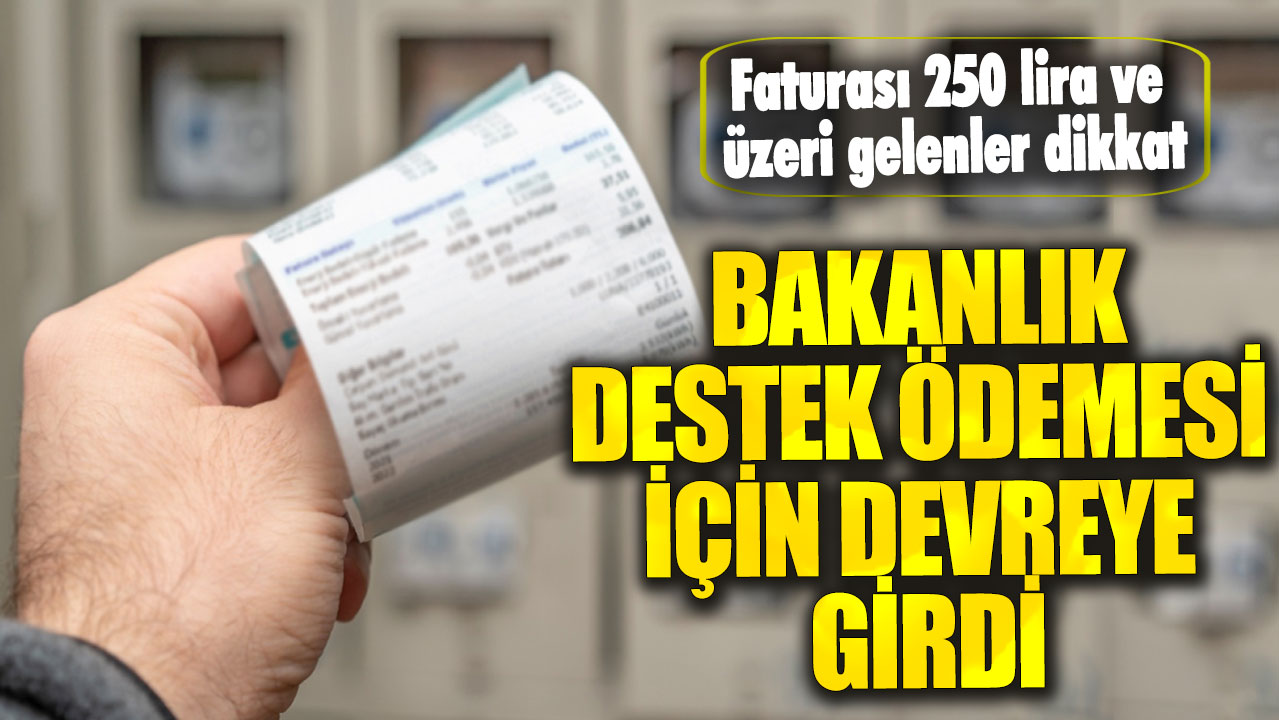 Faturası 250 lira ve üzeri gelenler dikkat! Bakanlık destek ödemesi için devreye girdi