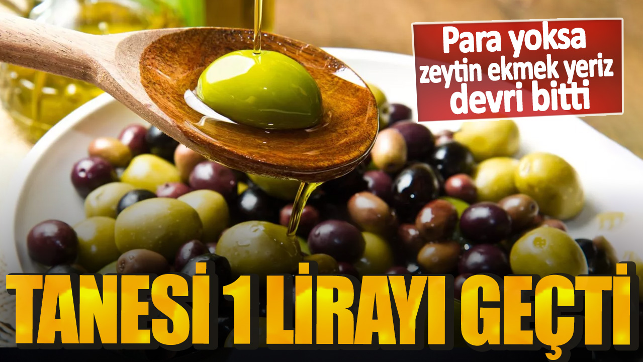 Para yoksa zeytin ekmek yeriz devri bitti! Tanesi 1 lirayı geçti