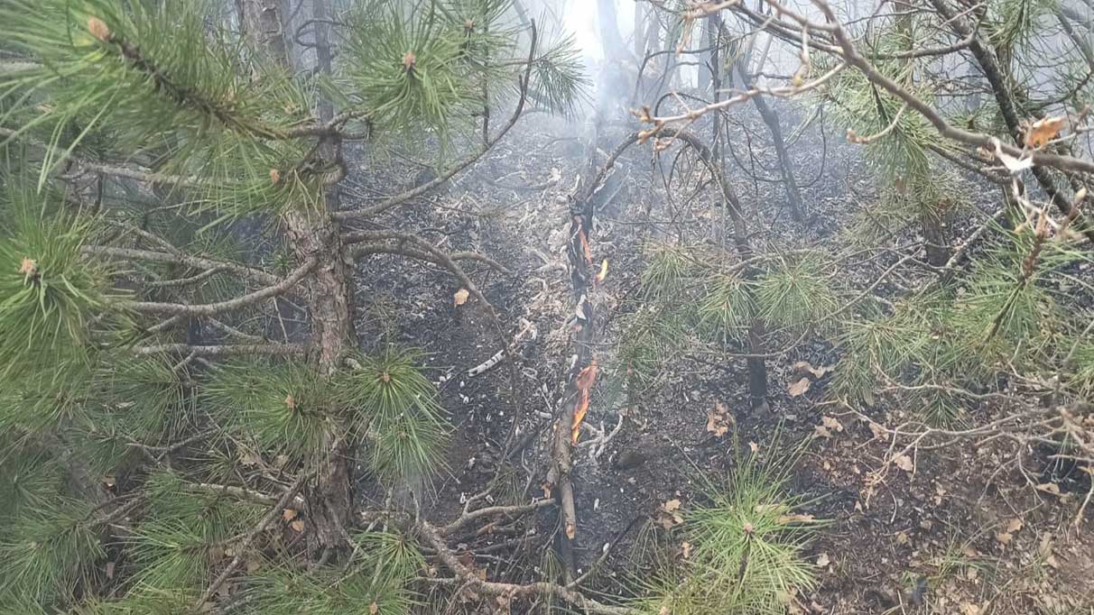 Tokat’ta korkutan yangın!