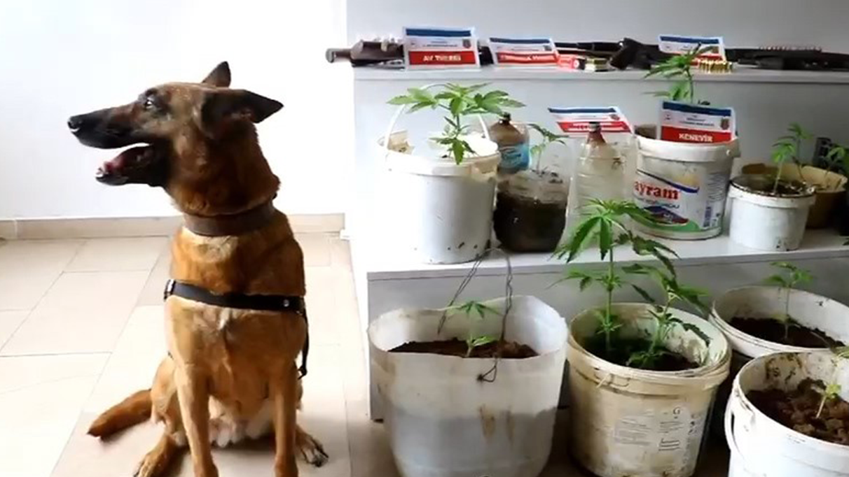 Rize’de uyuşturucu operasyonu: 5 gözaltı