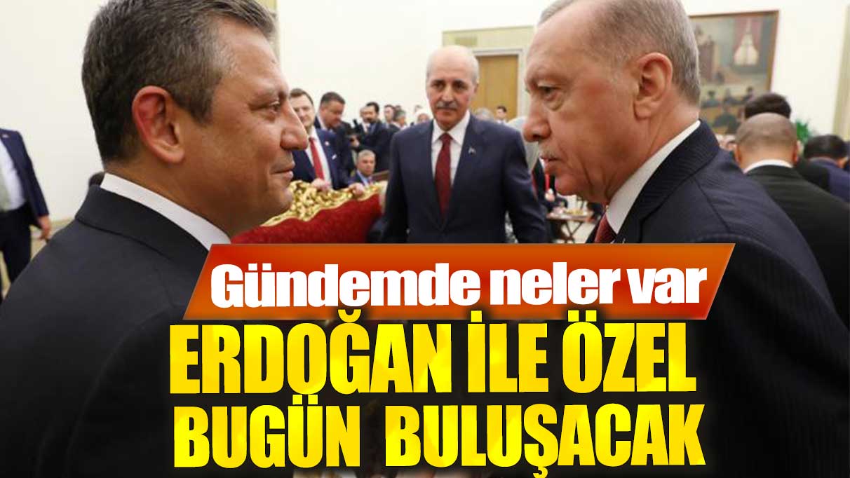 Cumhurbaşkanı Erdoğan, Özel'i bugün kabul edecek