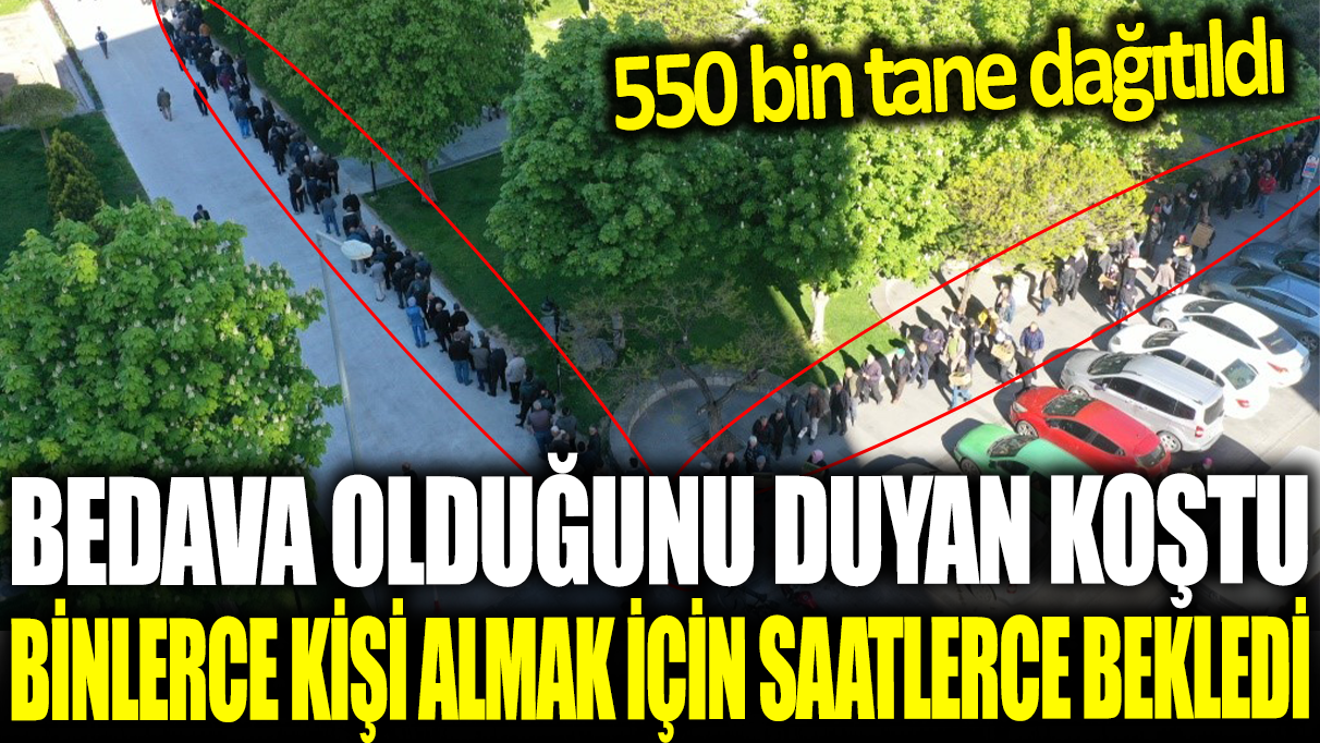 5 bin kişi domates fidesi için kuyruğa girdi