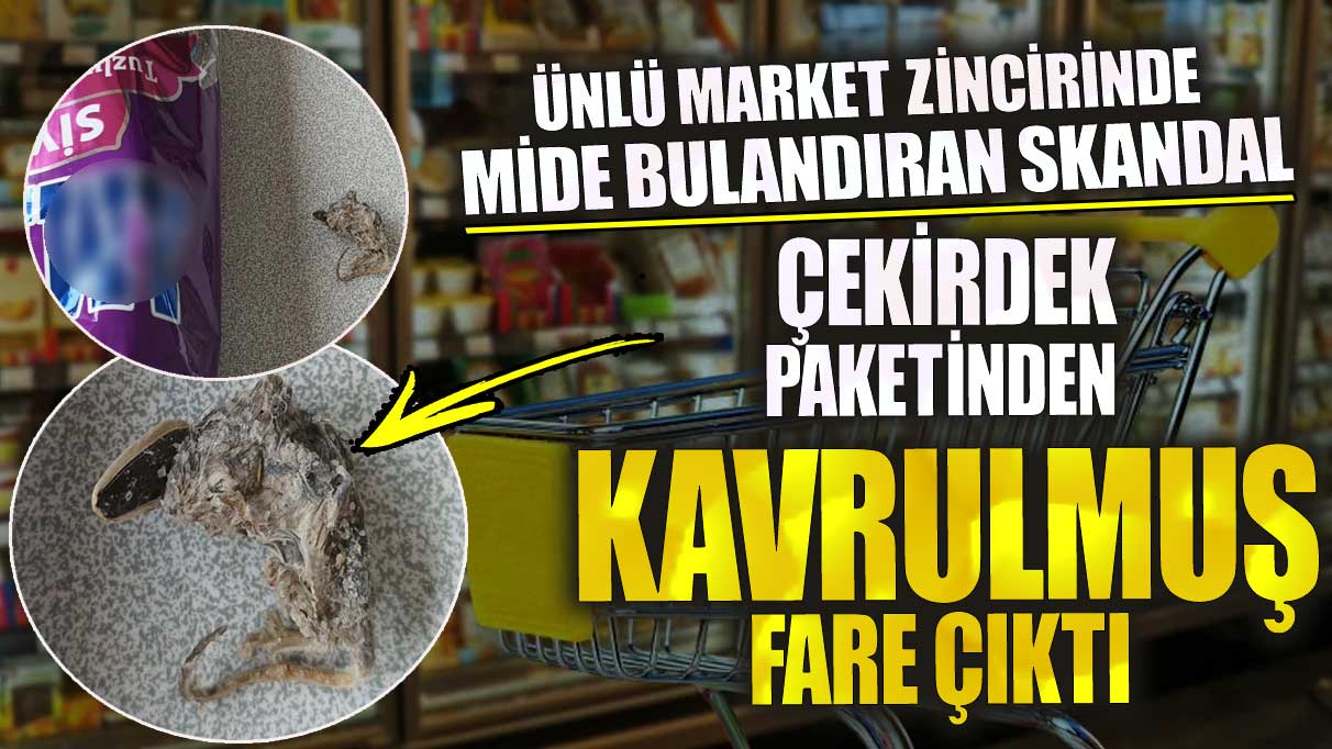 Ünlü market zincirinde mide bulandıran skandal!  Çekirdek paketinden kavrulmuş fare çıktı