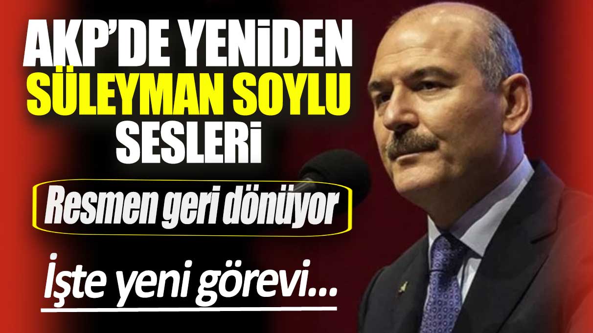 AKP’de yeniden Soylu sesleri geri dönüyor: İşte yeni görevi