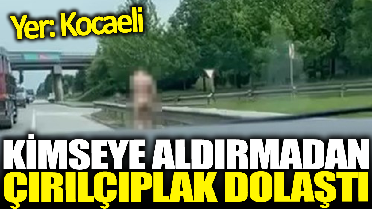 Kocaeli'de ilginç olay! Kimseye aldırmadan çırılçıplak dolaştı