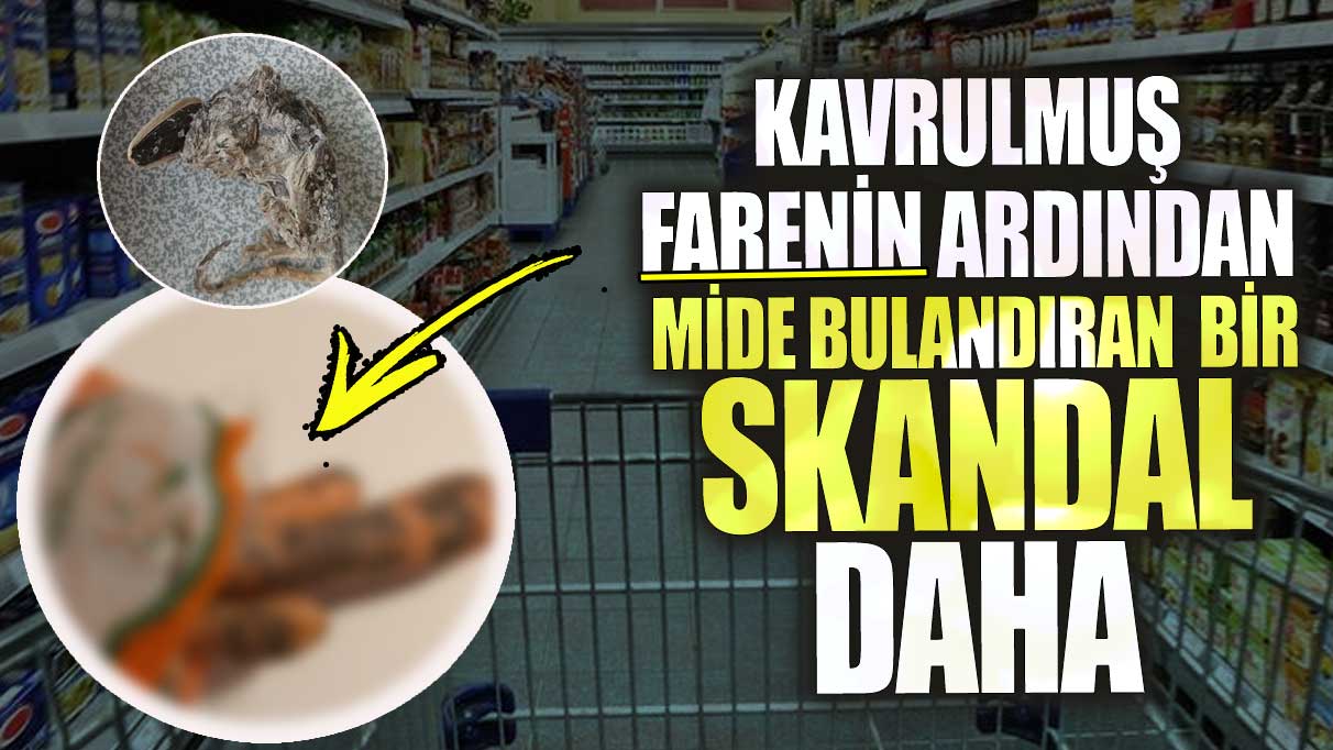 Kavrulmuş farenin ardından mide bulandıran bir skandal daha