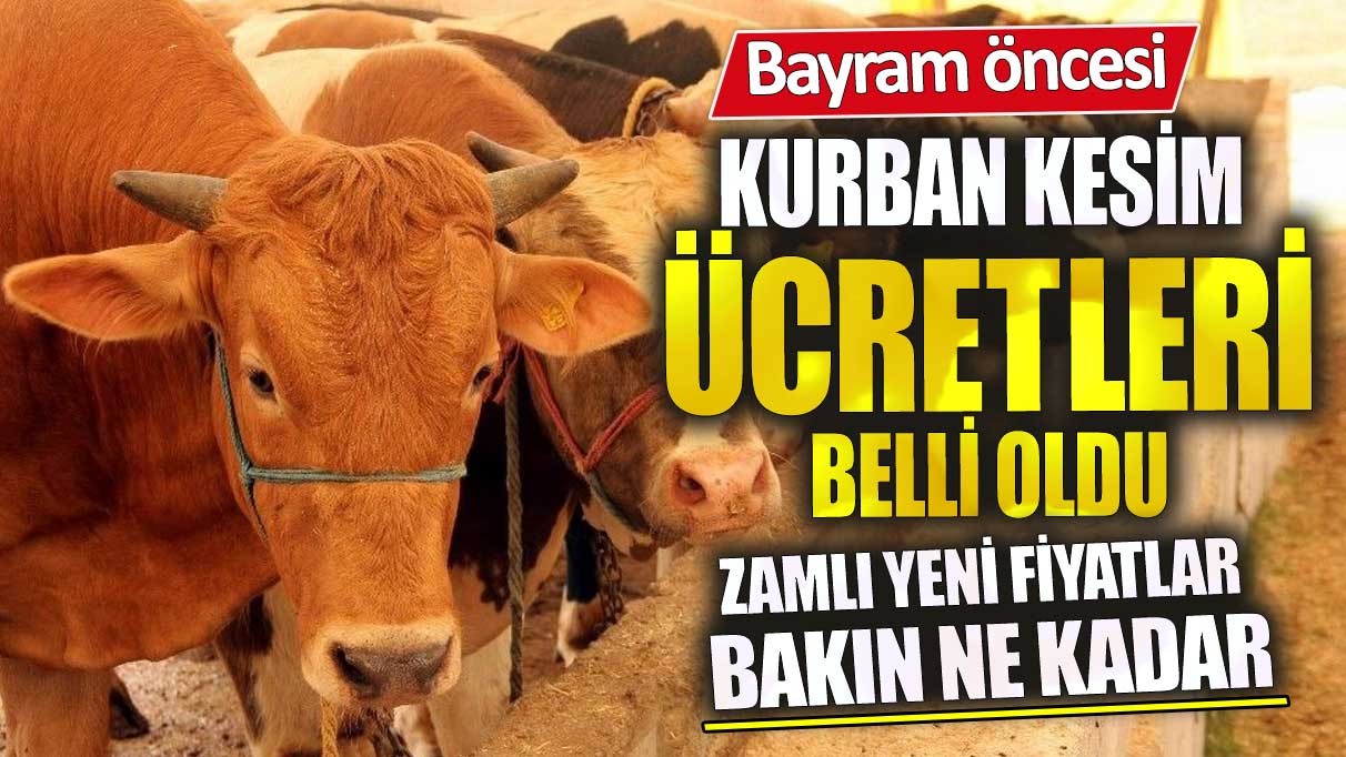 Kurban kesim ücretleri belli oldu! Zamlı yeni fiyatlar bakın ne kadar