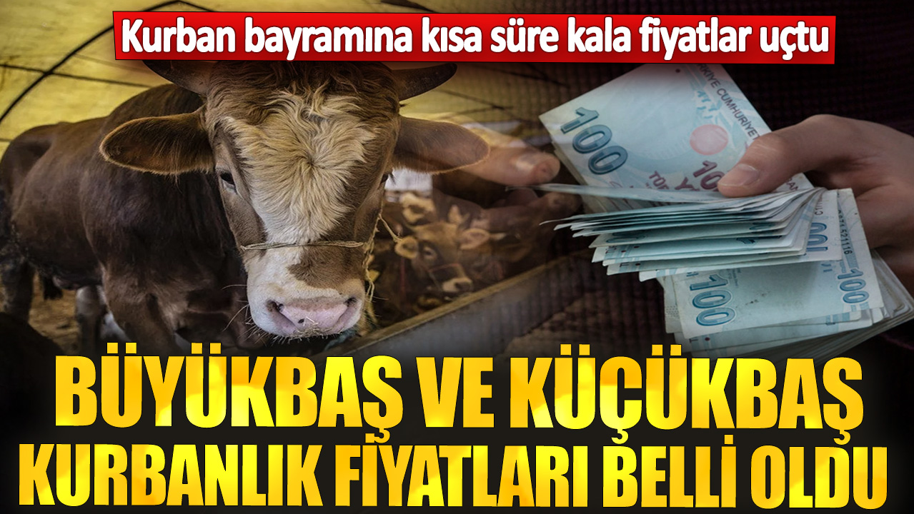 Büyükbaş ve küçükbaş kurbanlık fiyatları belli oldu! Kurban bayramına kısa süre kala fiyatlar uçtu