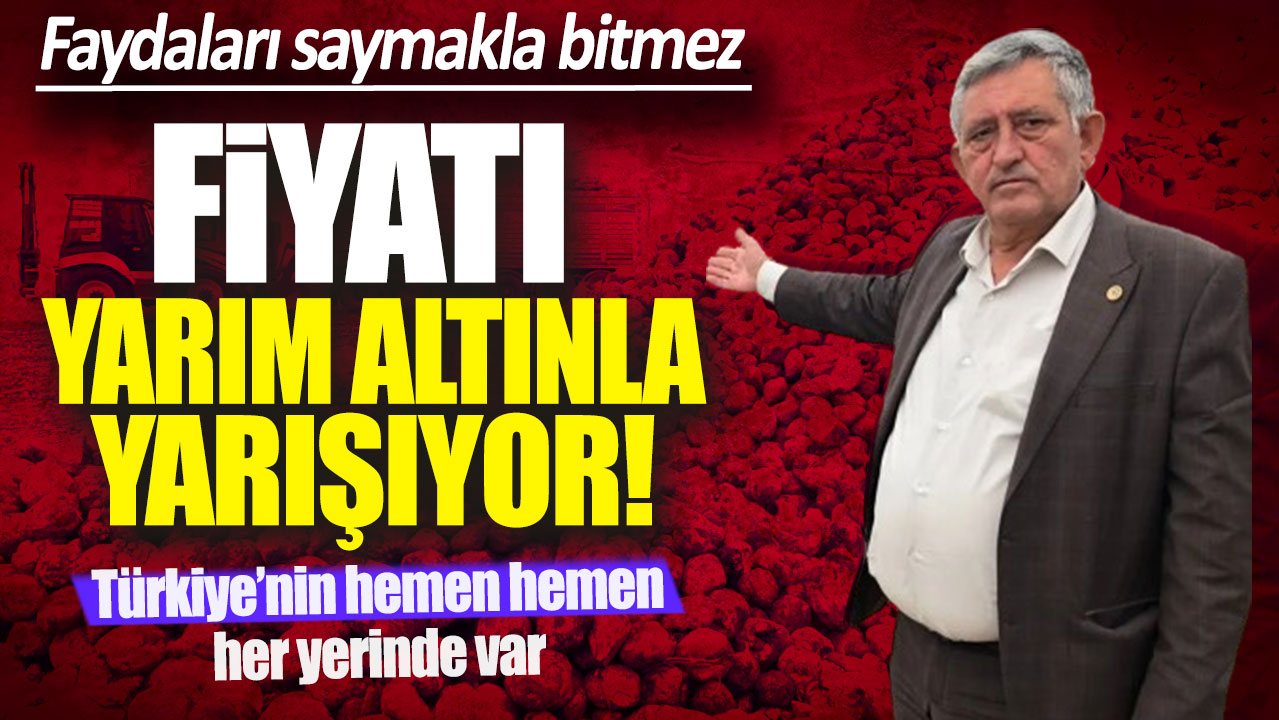 Fiyatı yarım altınla yarışıyor! Türkiye'nin her yerinde var