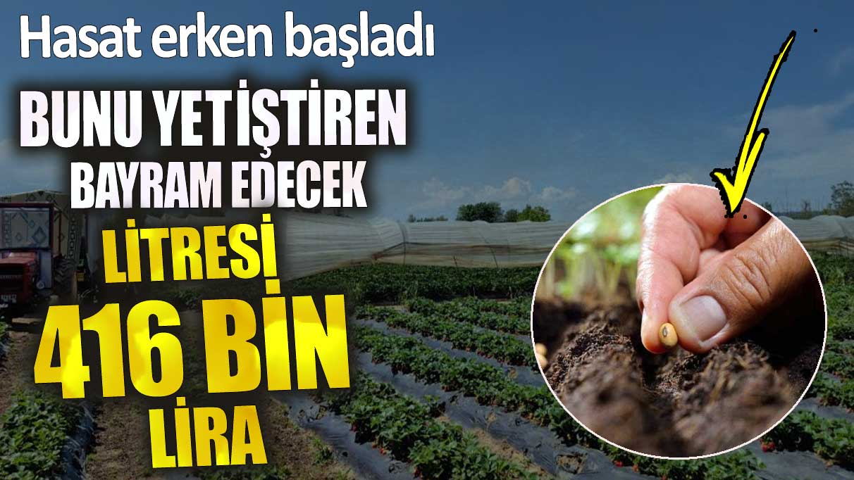 Litresi 416 bin lira! Bunu yetiştiren bayram edecek