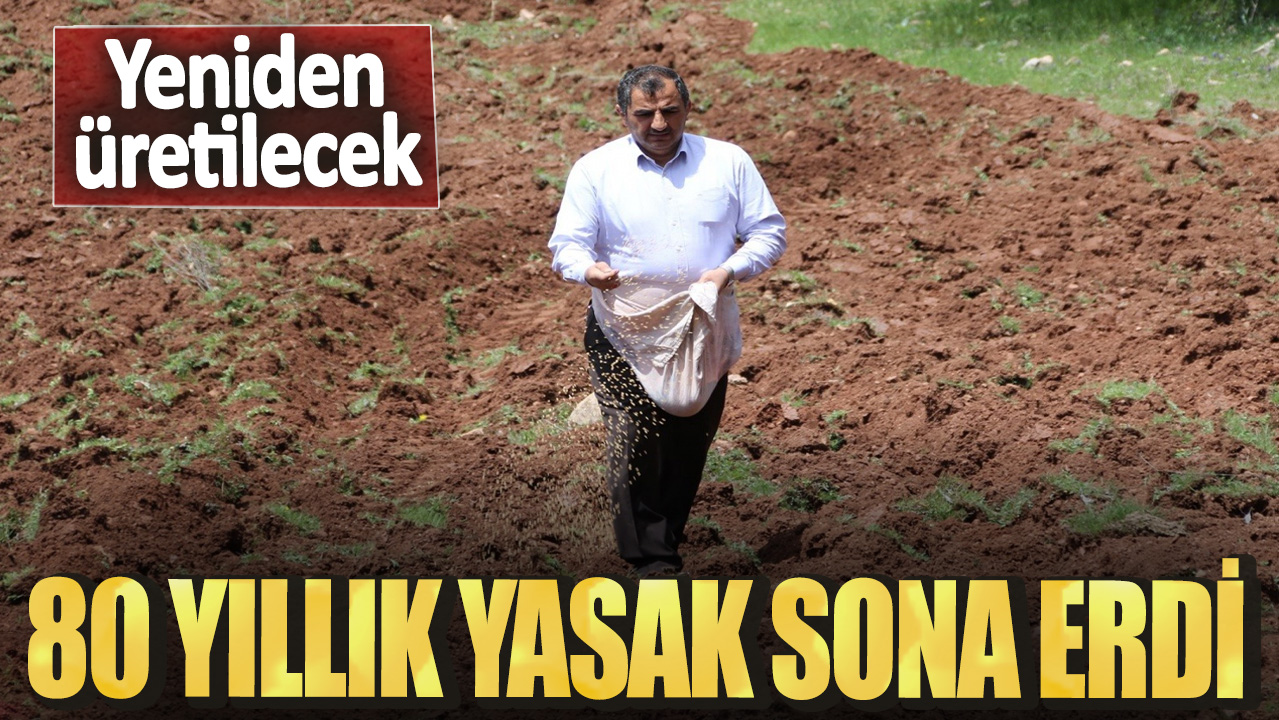 80 yıllık yasak sona erdi! Yeniden üretilecek