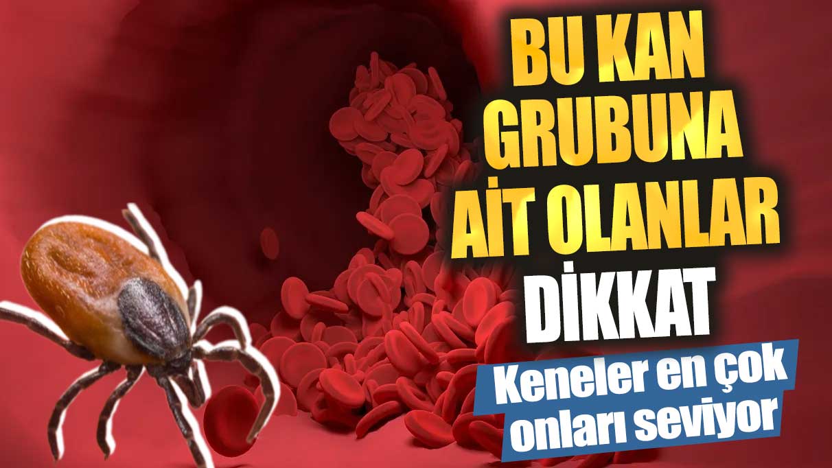 Bu kan grubuna ait olanlar dikkat!  Keneler en çok onları seviyor