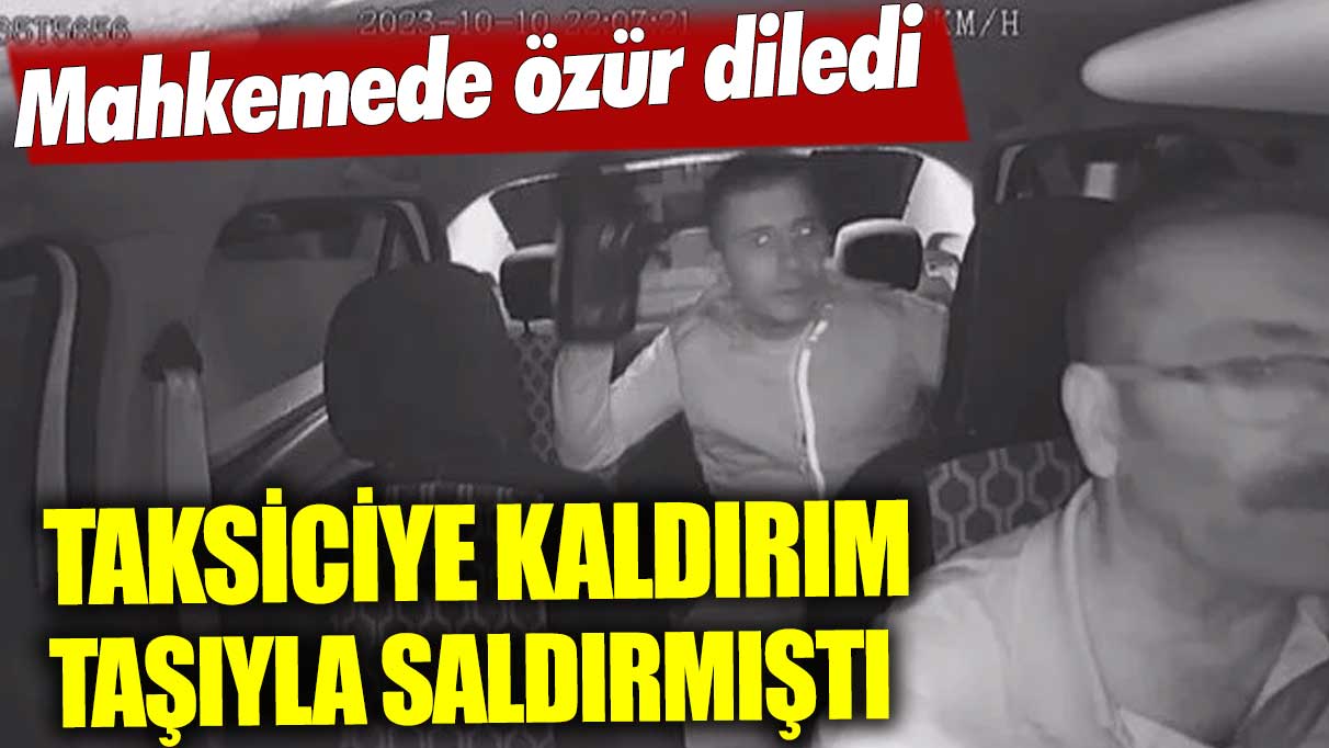 Taksiciye kaldırım taşıyla saldırmıştı: Mahkemede özür diledi