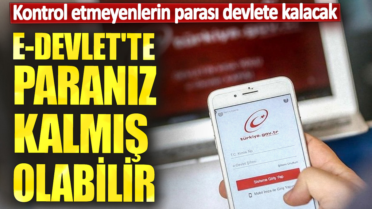 e-Devlet'te paranız kalmış olabilir! Kontrol etmeyenlerin parası devlete kalacak