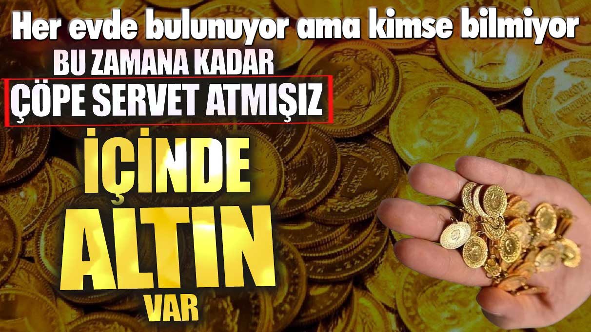 İçinde altın var! Her evde bulunuyor ama kimse bilmiyor çöpe servet atmışız