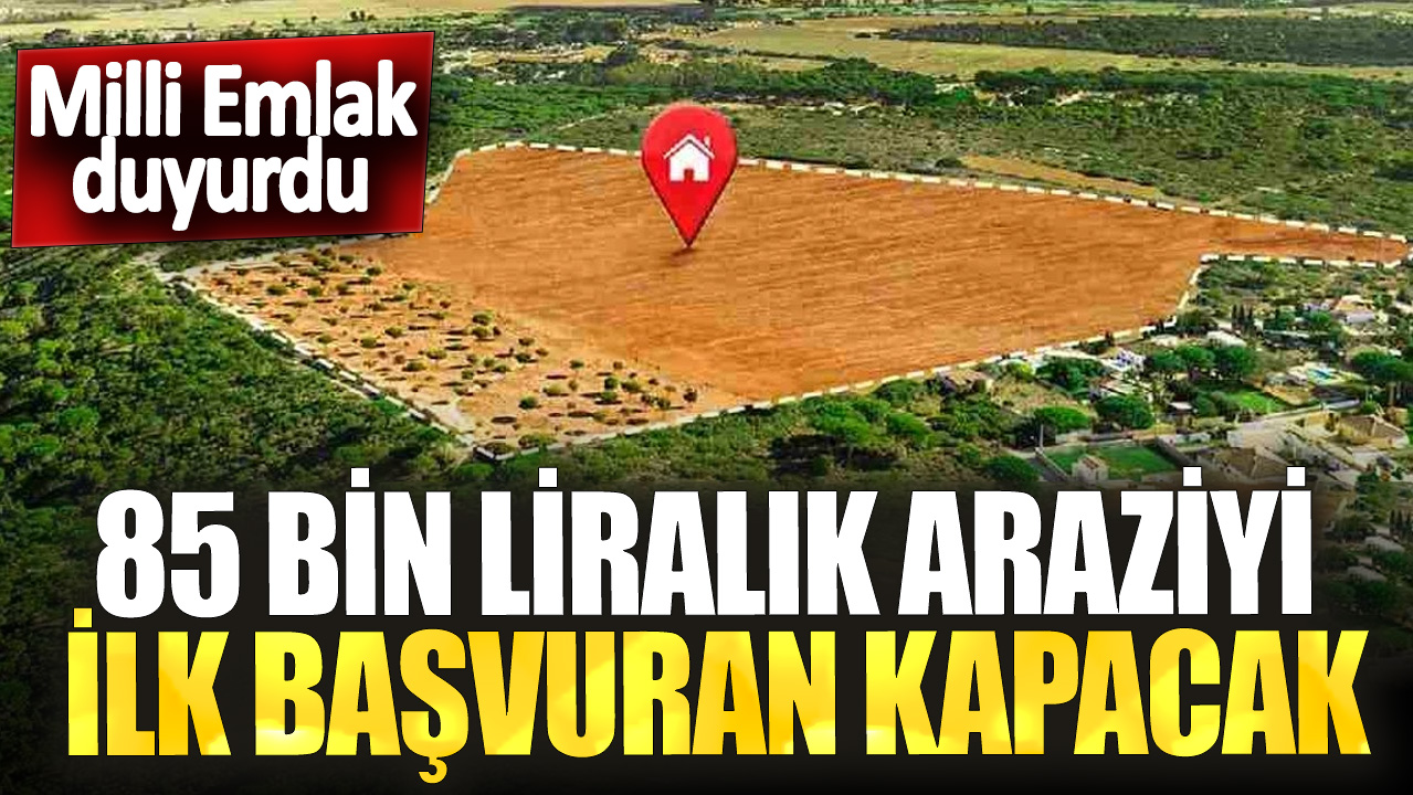 Milli Emlak duyurdu! 85 bin liralık araziyi ilk başvuran kapacak