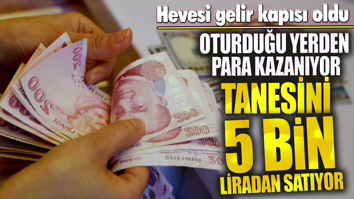 Tanesini 5 bin liradan satıyor! Oturduğu yerden para kazanıyor