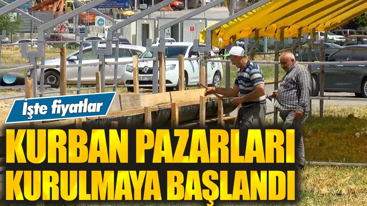 İstanbul’da kurban pazarları kurulmaya başlandı